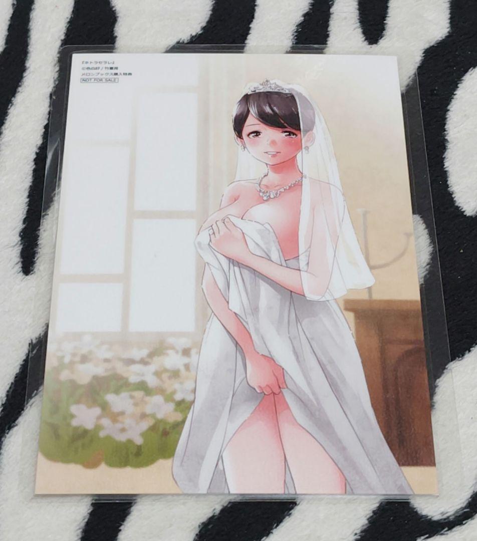 ネトラセラレ メロンブックス 購入特典 イラストカード 色白好 ラミネート済