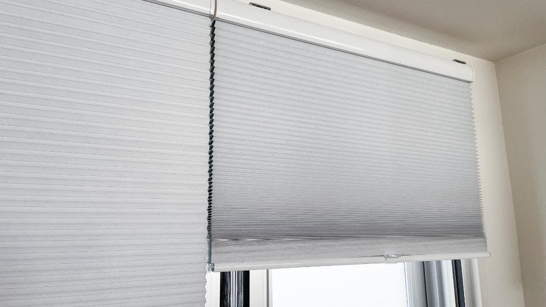 白目立った傷や汚れなし