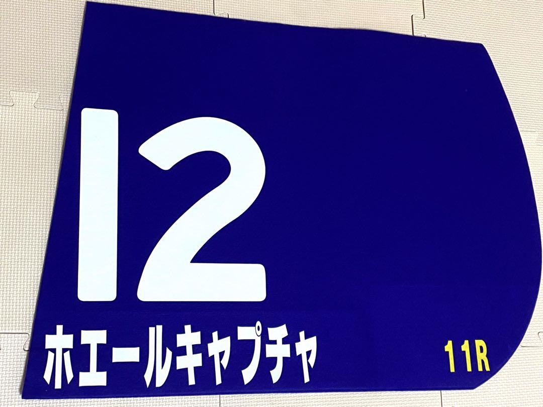 JRA G1 レプリカゼッケン　ディープインパクト　ダンスインザダーク他　ウマ娘