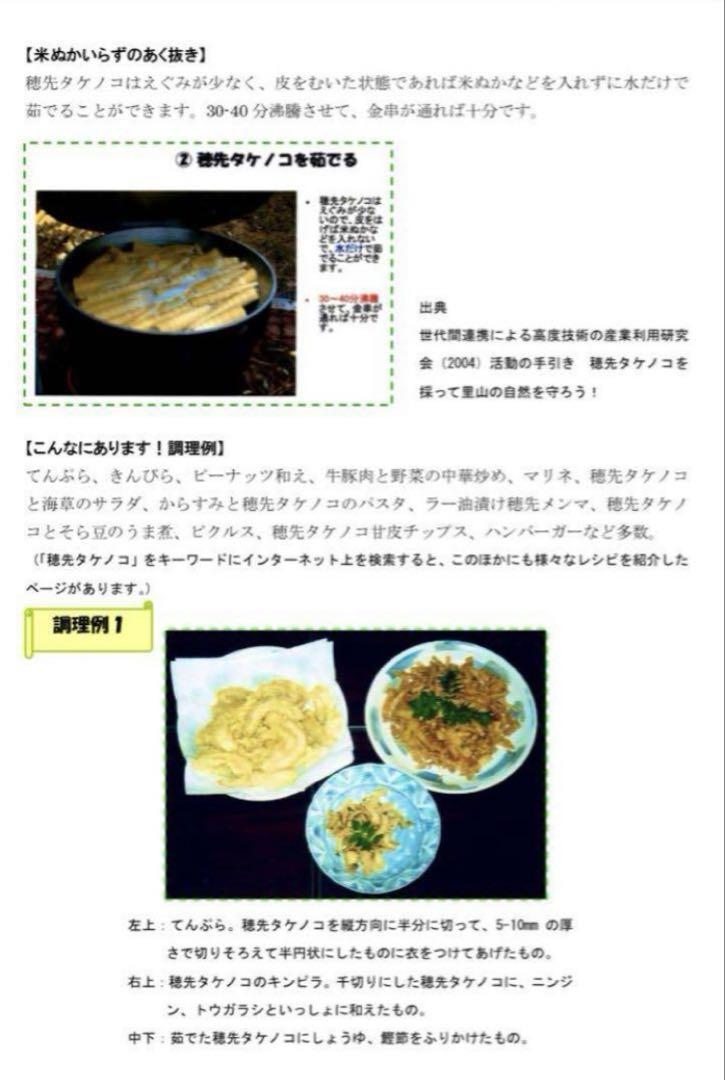 福袋特集 2024 終盤!! 5/20 収穫発送 柔らか 穂先たけのこ 10キロ 糠付 - メルカリ 野菜