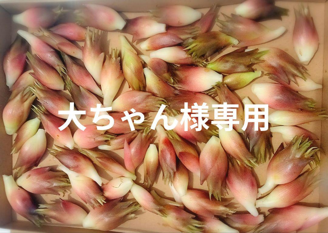 【大ちゃん】みょうが☆茗荷☆４００g☆長崎県産