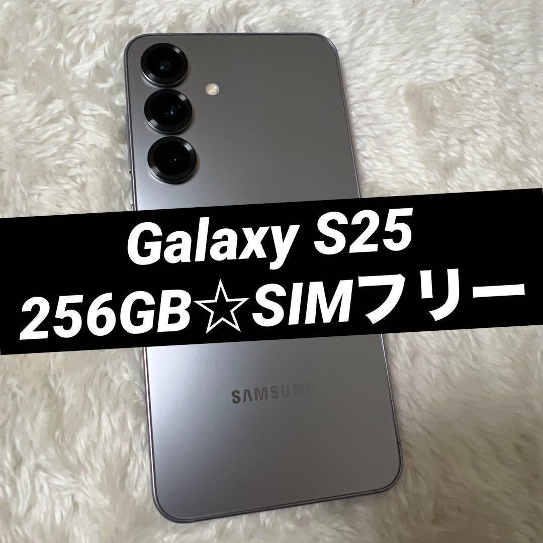 Galaxy S25 256GB シルバーシャドウ f46