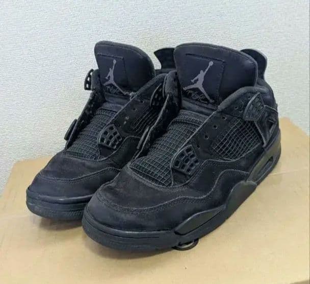 NIKE Air Jordan 4 ブラックキャット 25.0cm