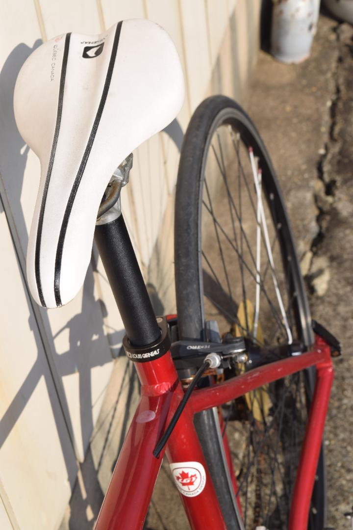 ルイガノ　CR23　美品 460mm