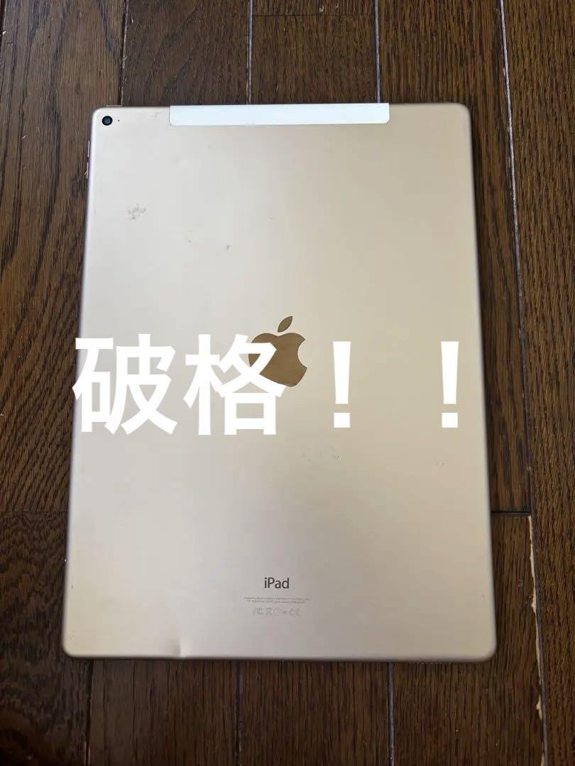 iPad本体