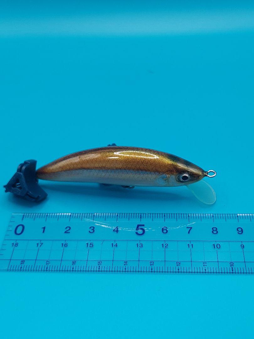 makiオリジナルハンドメイドルアー 公魚剥製仕様 レアな一点物