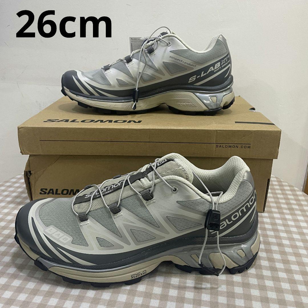 サロモン Salomon x DSM XT-6  サイズ 26cm