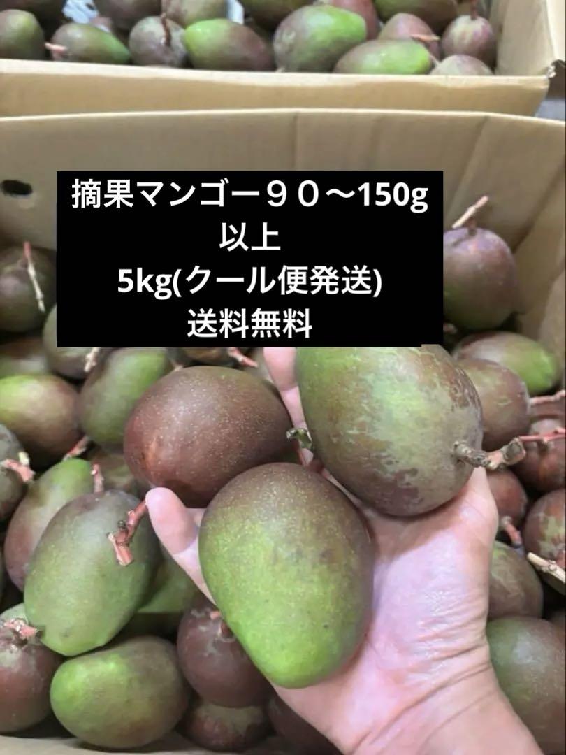 沖縄県産青マンゴー5kg(90g以上)