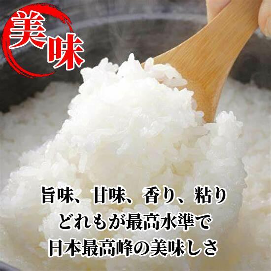 できます 3 送料無料 消費税込み 半額以下 PULBY-m45242143439 最上級の新米が安い 減農薬こしひかり20㎏ ✏ランク