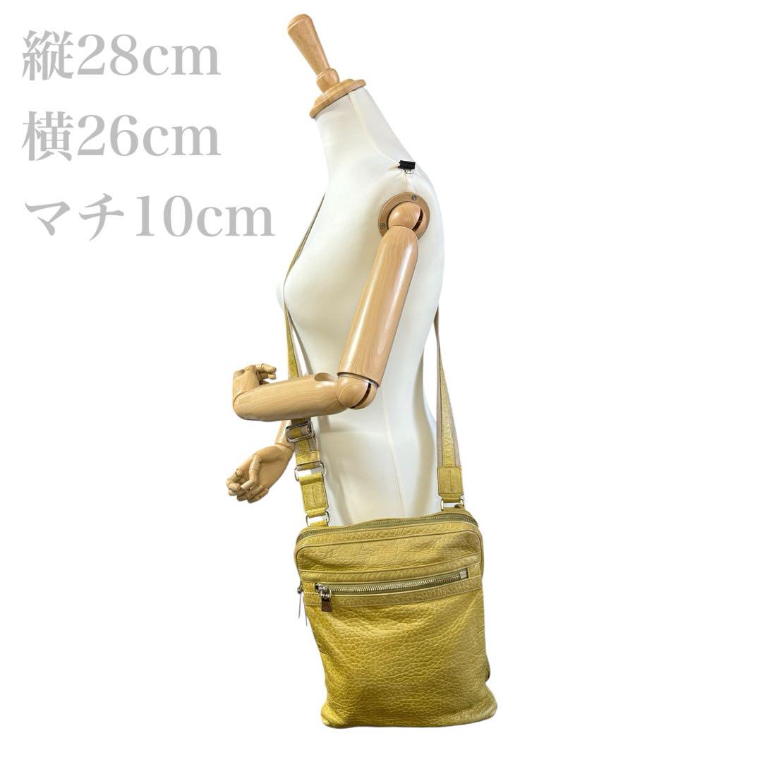 美品】aniary ア二アリ ショルダーバック 肩掛け レザー 希少色