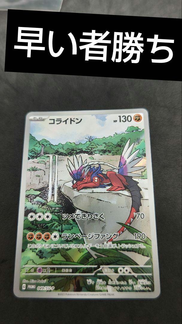 コライドン　シールド戦　プロモ