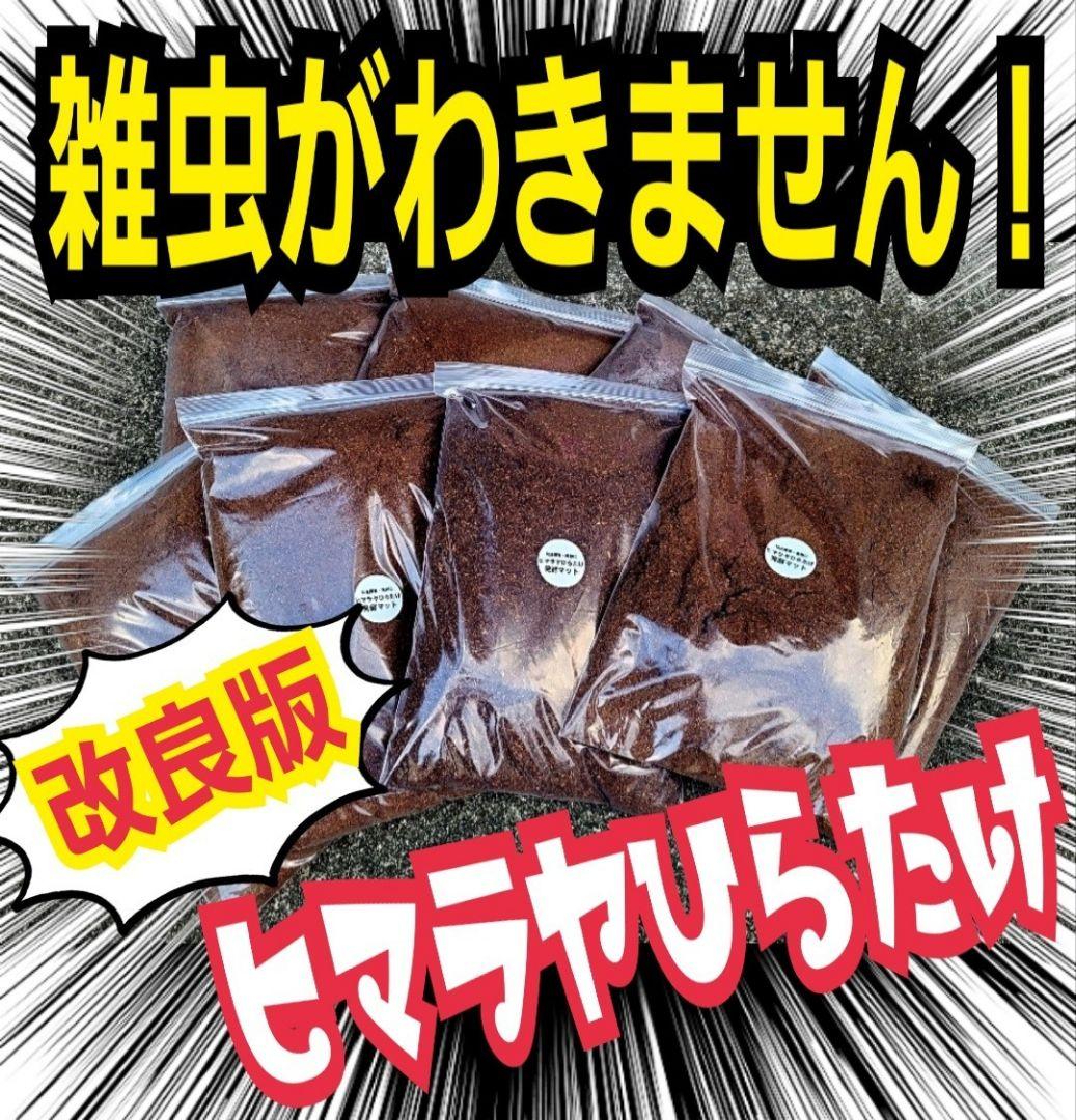 カブトムシ幼虫が大きくなる！栄養価抜群の発酵マット【60リットル】チャック付袋