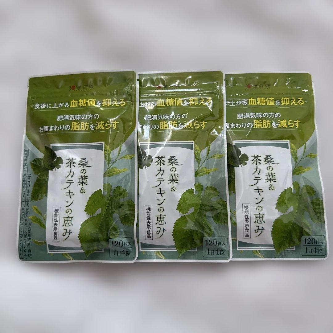 漢方セレクト 桑の葉&茶カテキンの恵み 120×3 2027/02/21