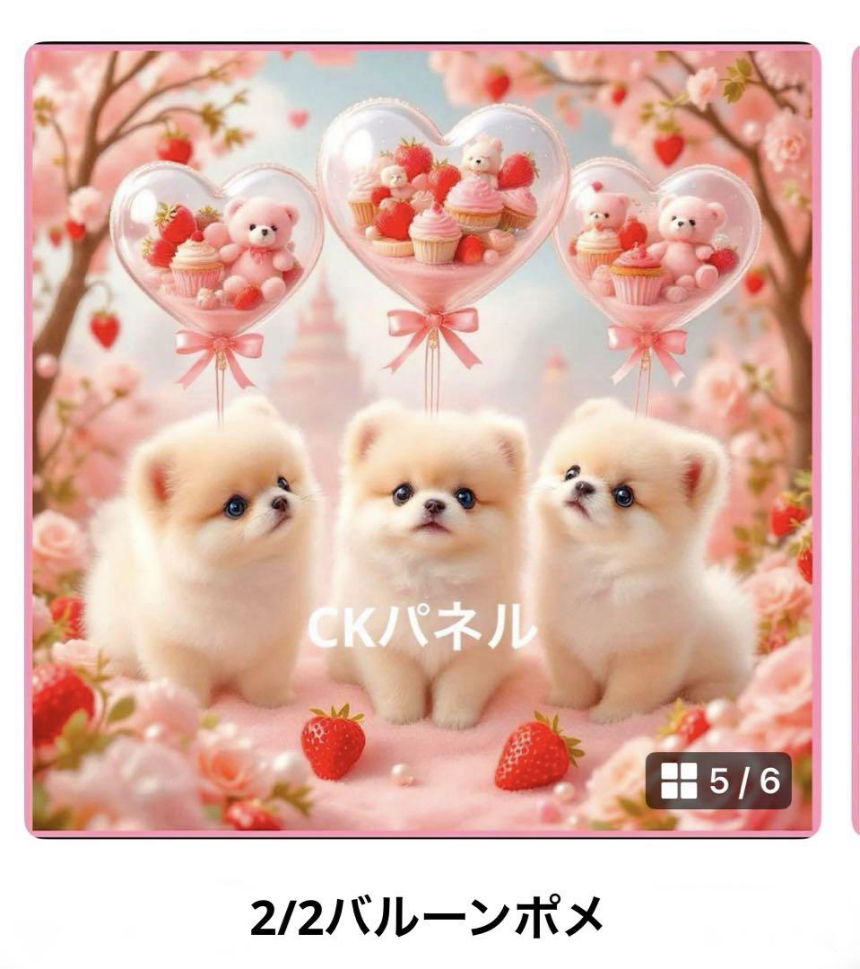2|2バルーンポメラニアン