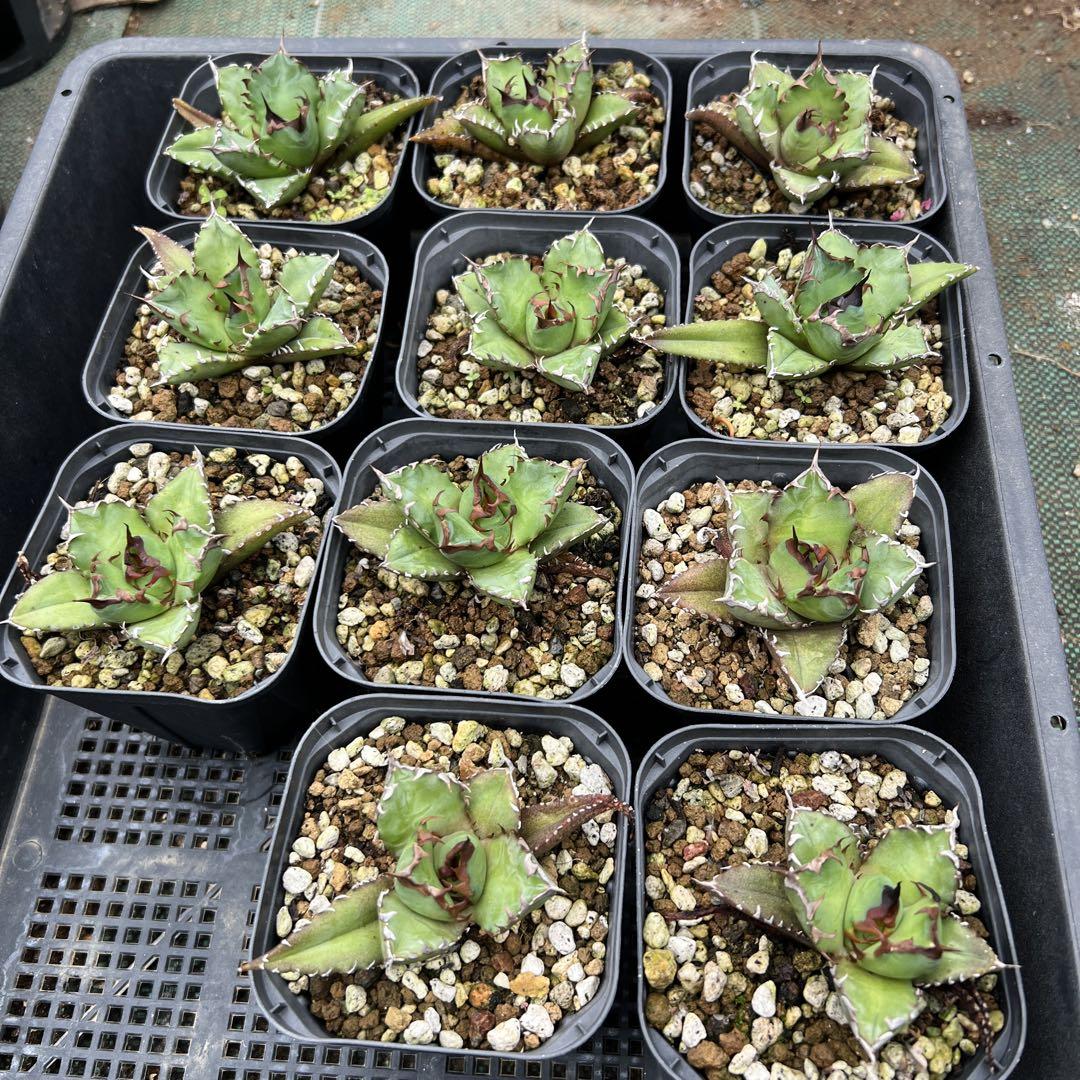 hiro様確認