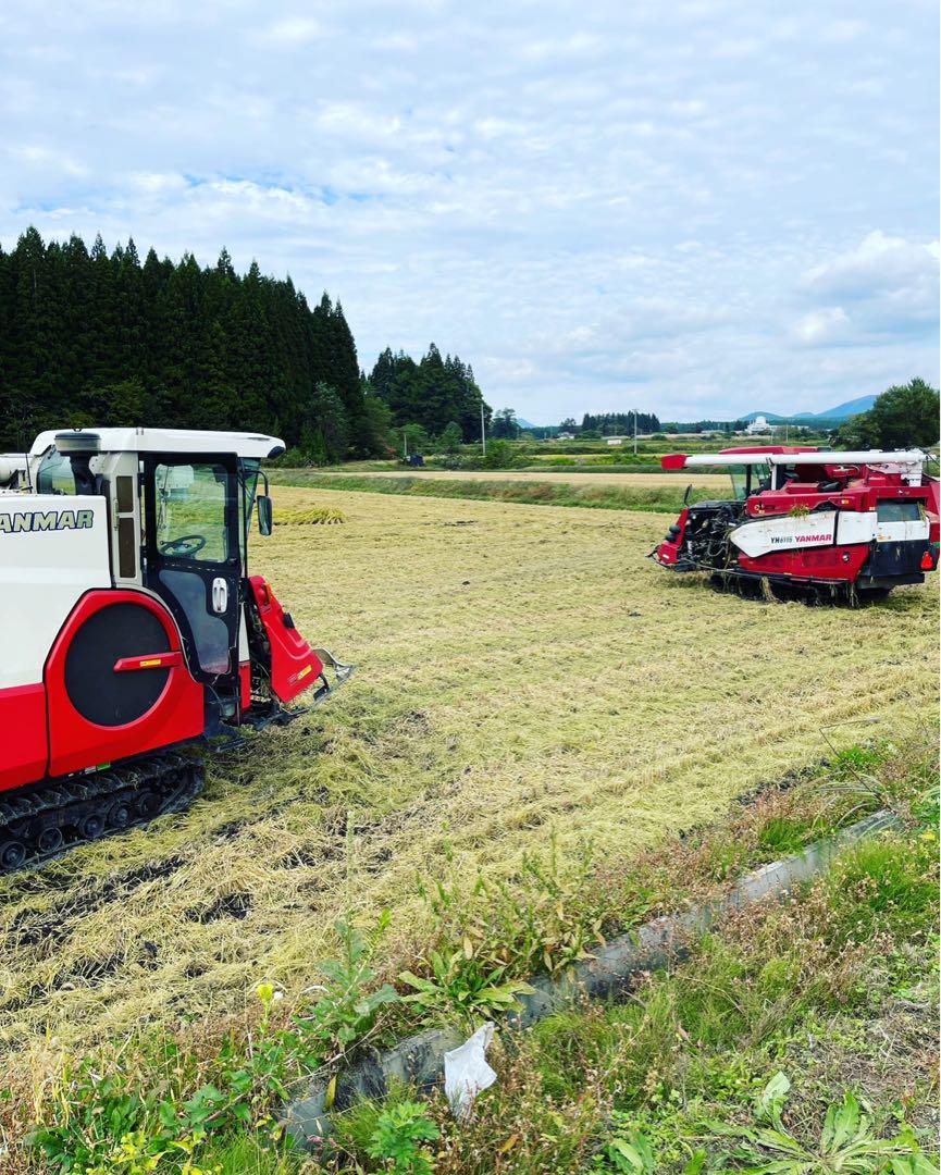 晴れ空様専用