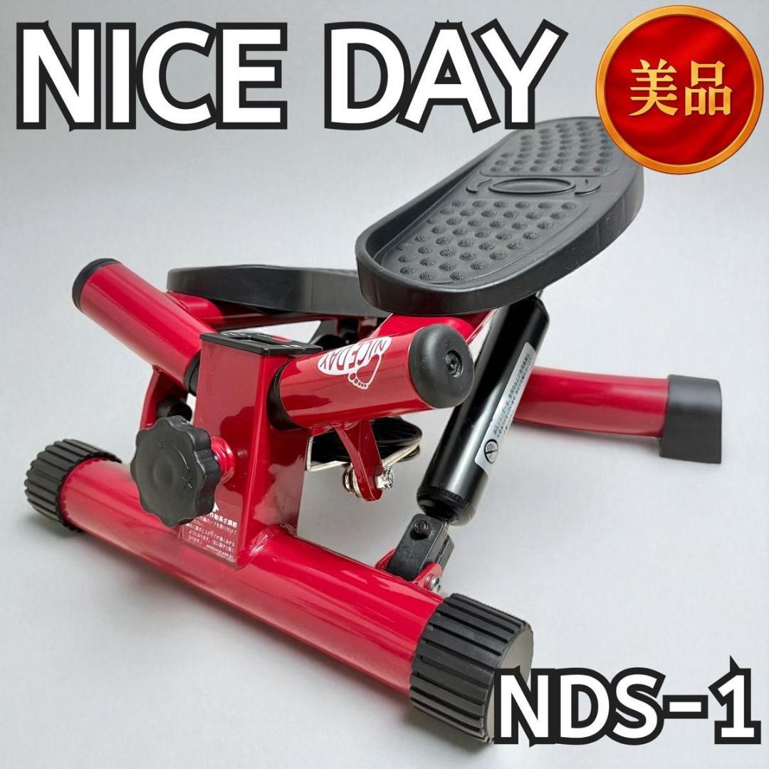NICE DAY ナイスデイ 健康ステッパー ND-1R ショップジャパン 美品】NICEDAY 健康ステッパー ND-1R ショップジャパン