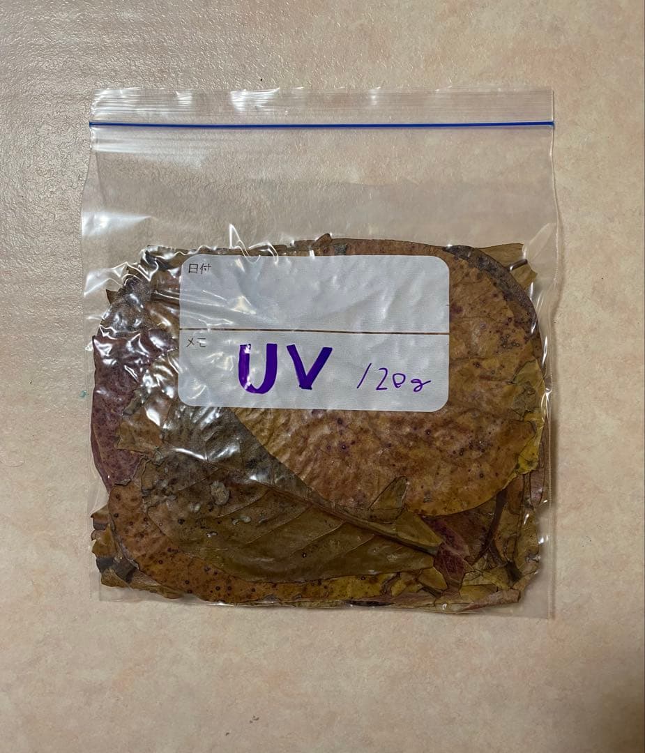 沖縄県やんばる産マジックリーフ 60g 20〜25枚入 UV殺菌灯照射済み⑥