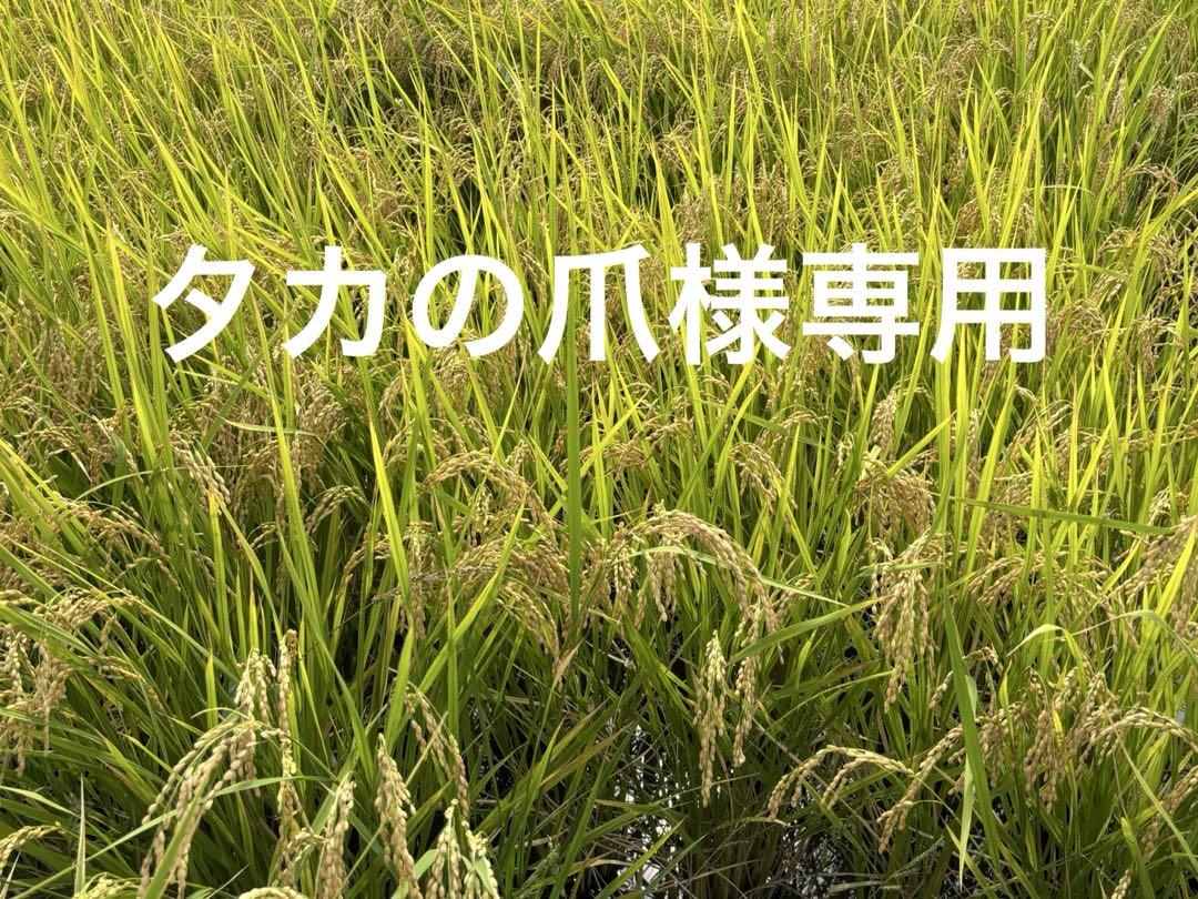 令和6年産新米 あいちのかおり白米10キロ - 米・雑穀・粉類