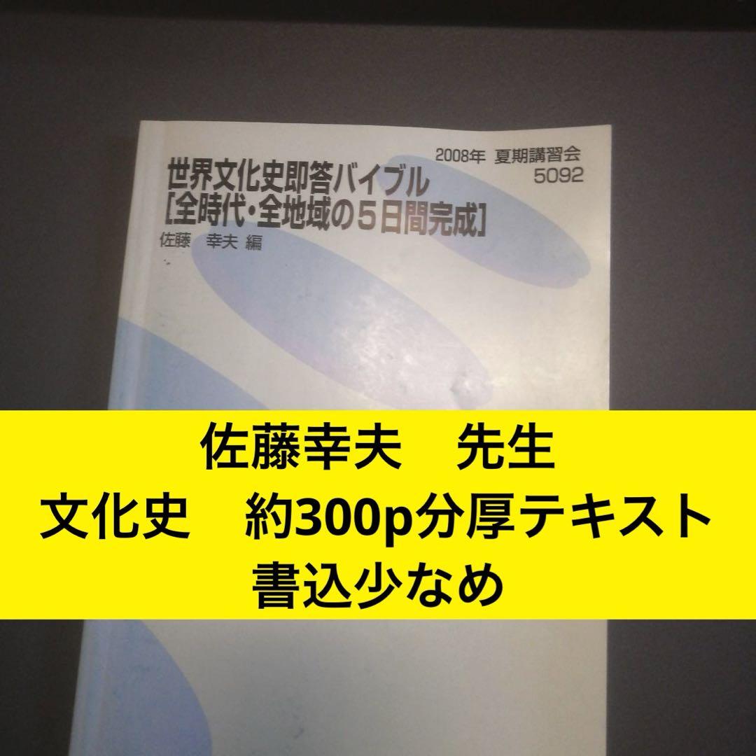代ゼミテキスト　佐藤幸夫の世界史（文化史）　夏期講習会　代々木ゼミナール 代ゼミテキスト 佐藤幸夫の世界史（文化史） 夏期講習会 代々木