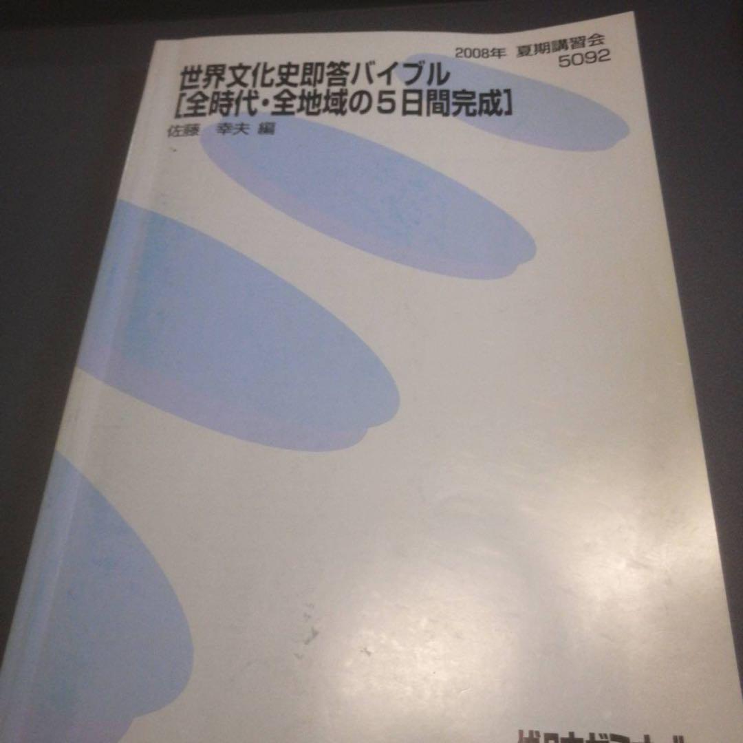 代ゼミテキスト　佐藤幸夫の世界史（文化史）　夏期講習会　代々木ゼミナール 代ゼミテキスト 佐藤幸夫の世界史（文化史） 夏期講習会 代々木