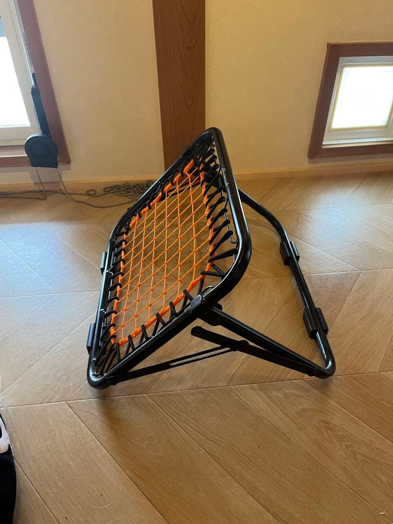 ProMark Pitch Catch Net