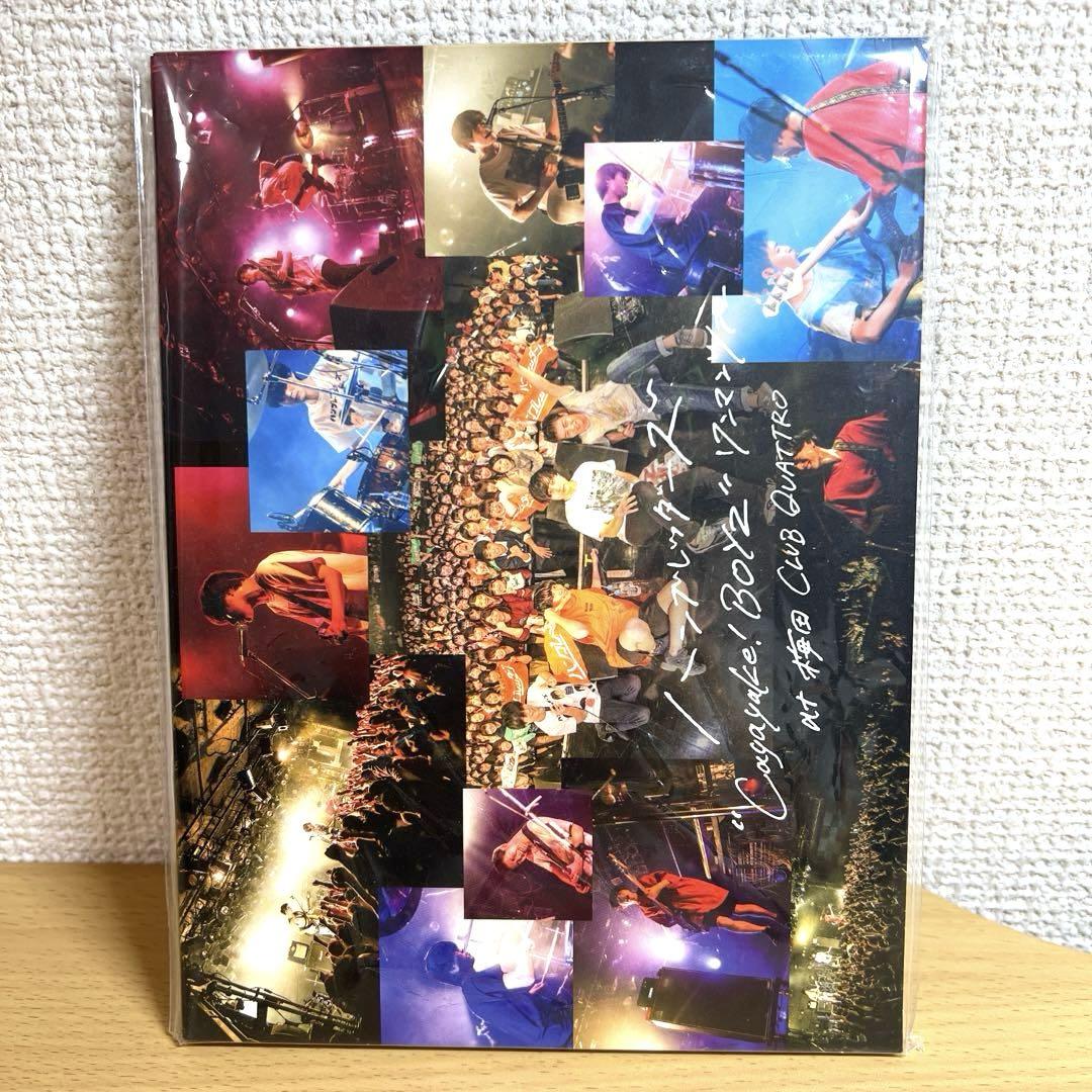 ハンブレッダーズ ワンマンツアー 梅田 CLUB QUATTRO ほぼ新品