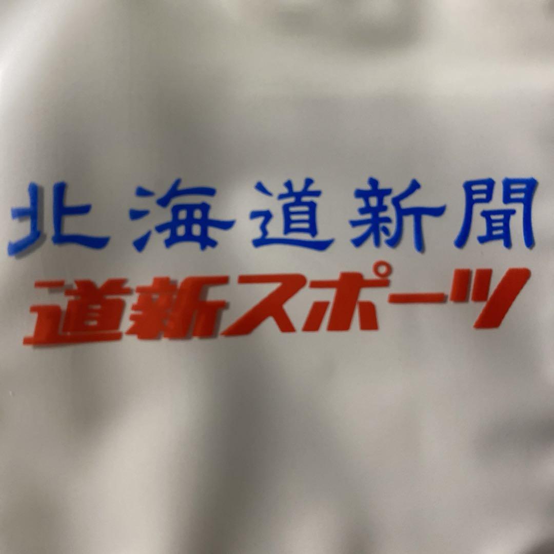 ☆ 非売品 ☆ 北海道日本ハムファイターズ レジャークッション