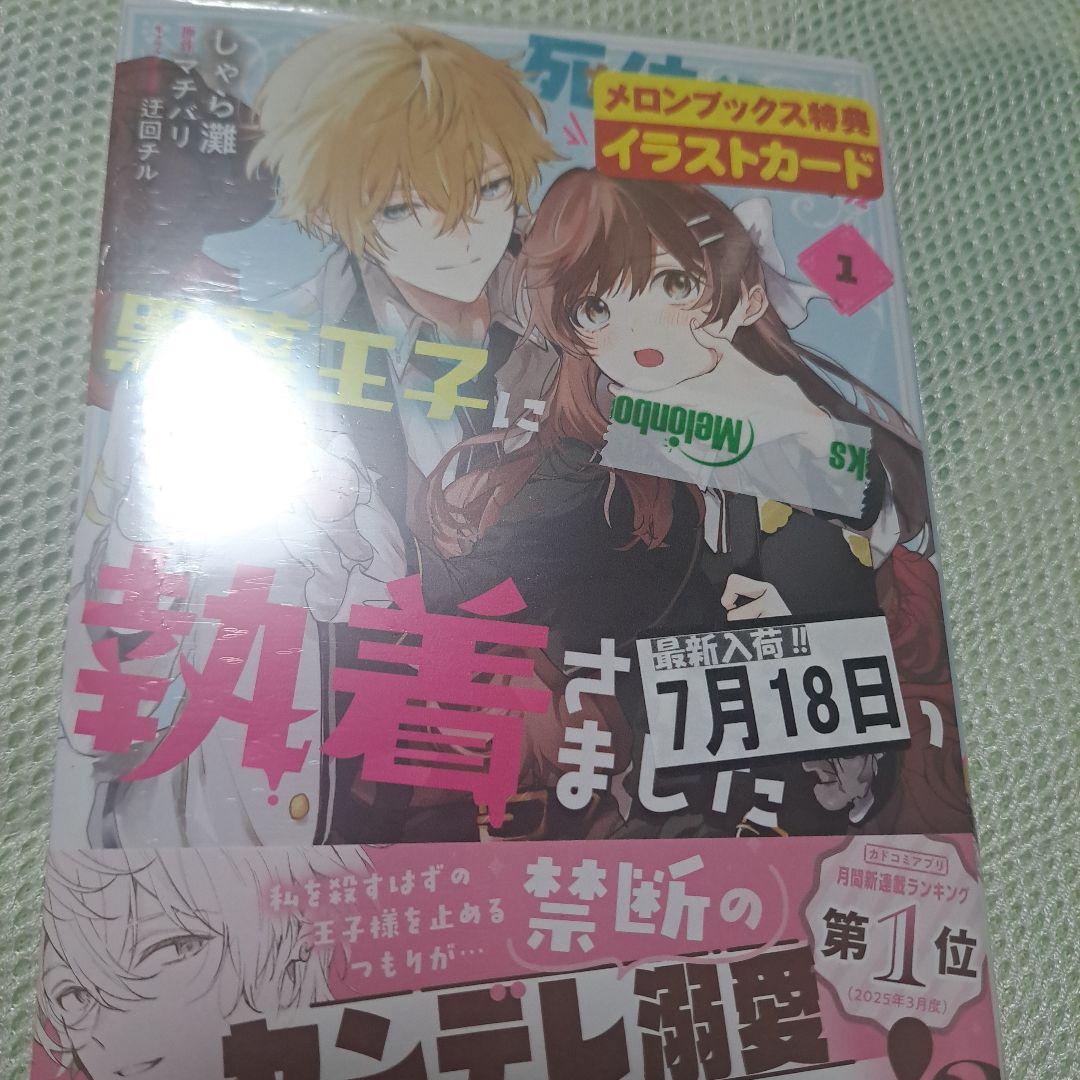 非売品 未使用 送料無料 引き抜きなし 商品無料券つき 2023年 マック 福袋 チャムス CHUMS マクドナルド 浜田省吾 Road\u0026Sky会報(Vol.28〜247）Shogo Station