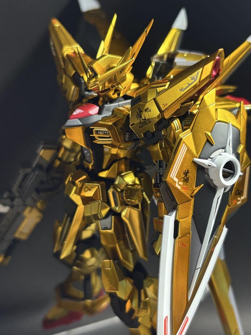 RG アカツキガンダム(オオワシ装備) 完成品　全塗装