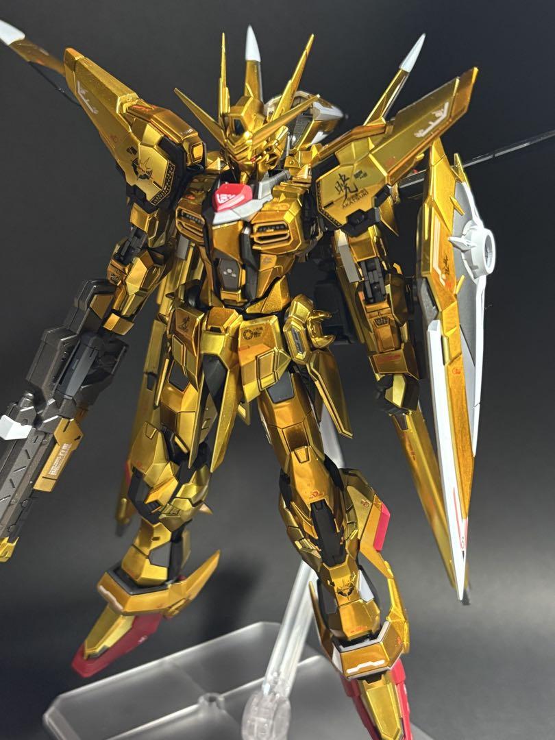 RG アカツキガンダム(オオワシ装備) 完成品　全塗装