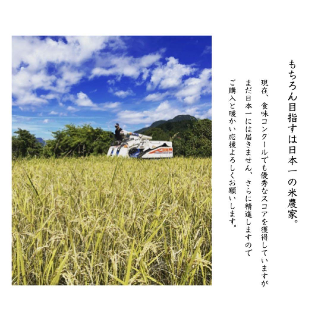 【品質保証】玄米 20kg コシヒカリ 米 群馬県産 紙マルチ米