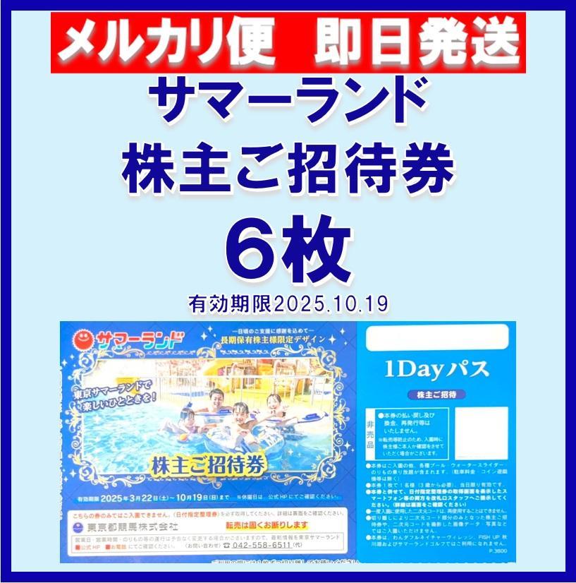 東京サマーランドご招待券　1Dayパス 6枚