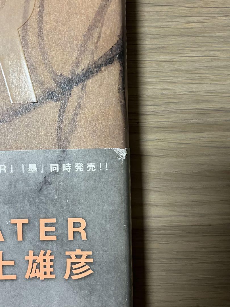 井上雄彦 バガボンド画集 WATER