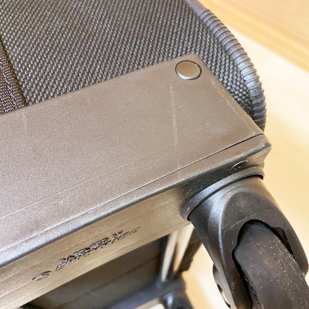 スワニー キャリーバッグ Lサイズ トラベルタイプ