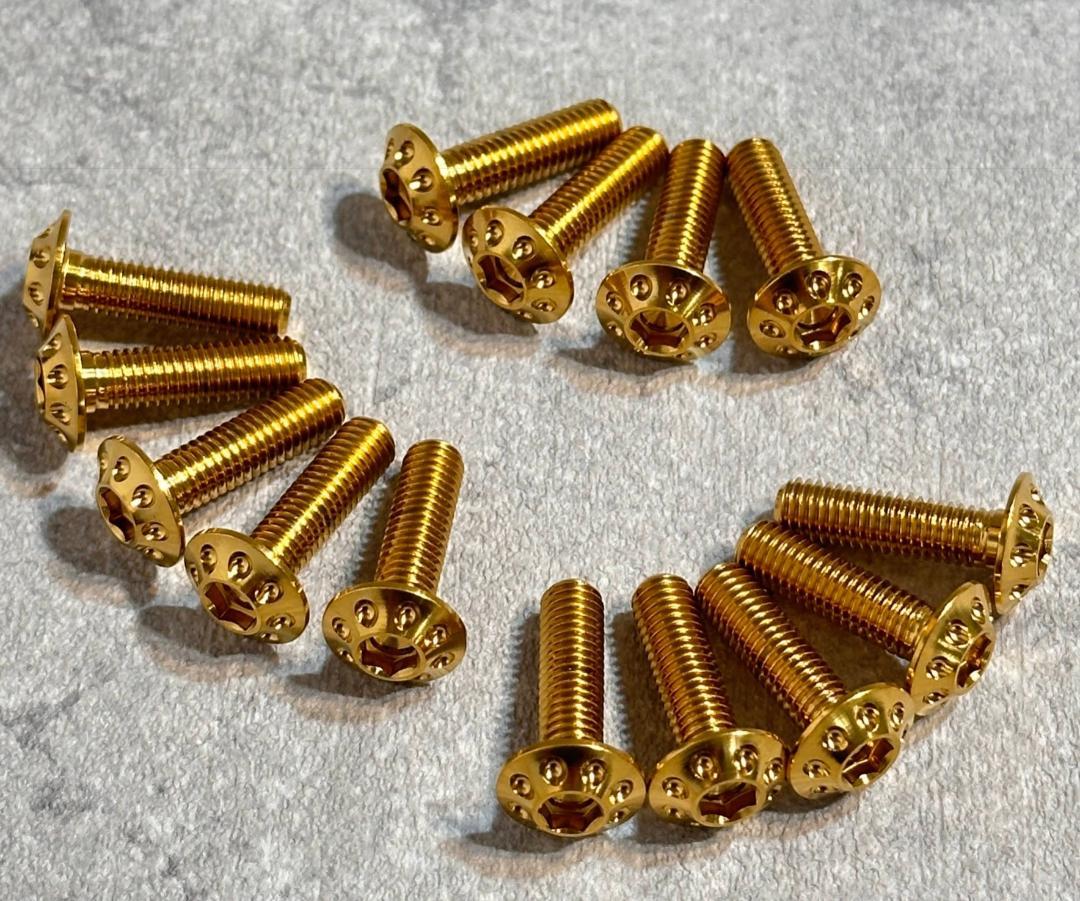 チタンボルト DUCATI M5 x 18mm 14本セット GOLD a163