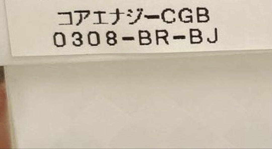 ✨新品✨コアエナジー ベルト ブラック ビジカジ 伸縮 体幹サポート 伸縮ベルト