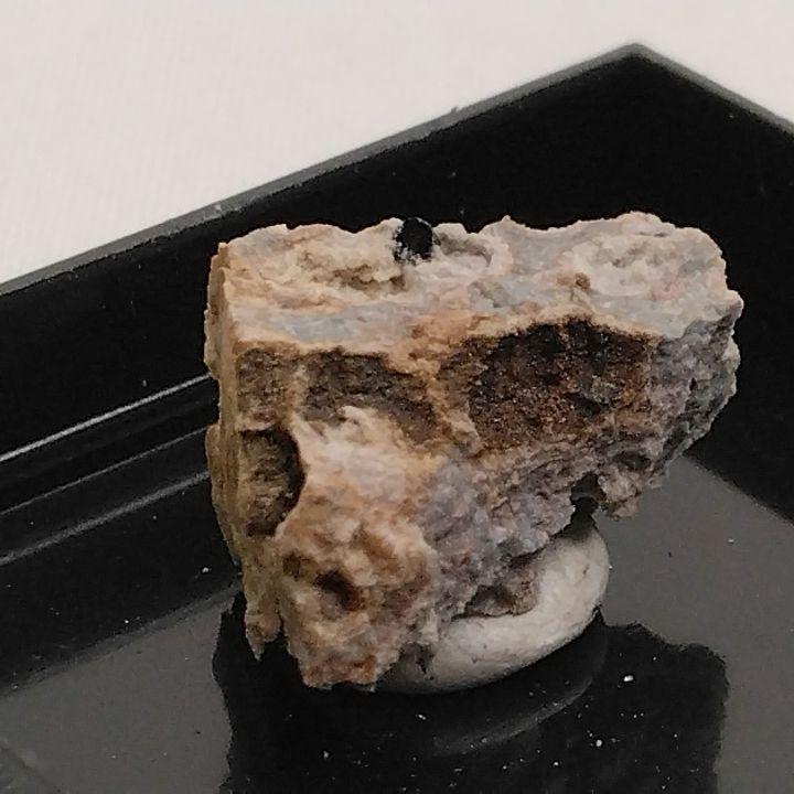 世界に一つ