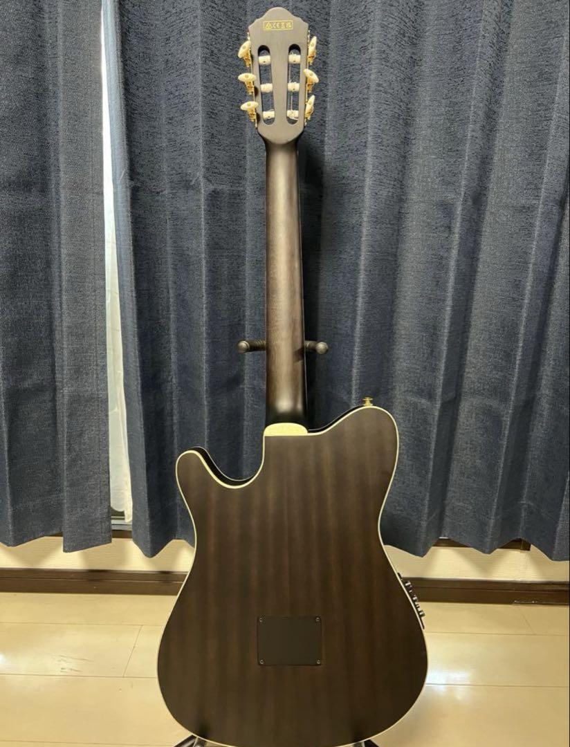 Ibanez TOD10N Tim Henson シグネチャー エレガットギター