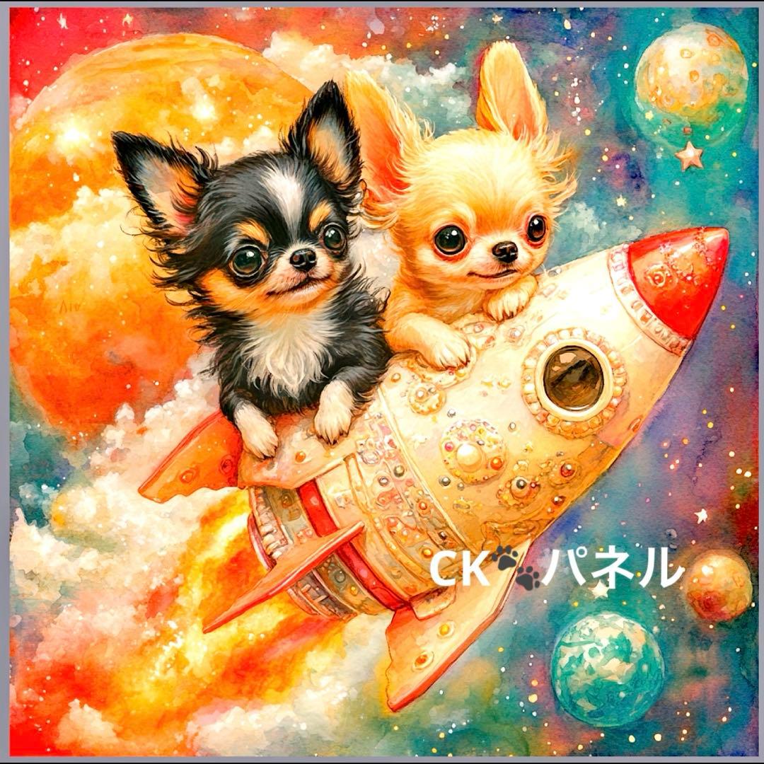 限定10枚　レアパネル生地　6柄セット　チワワロケットパネル生地