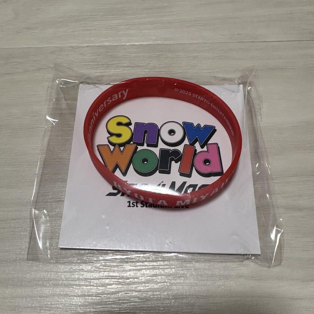 SALE‼️SnowMan Snow World ラバーバンド 目黒蓮 - メルカリ