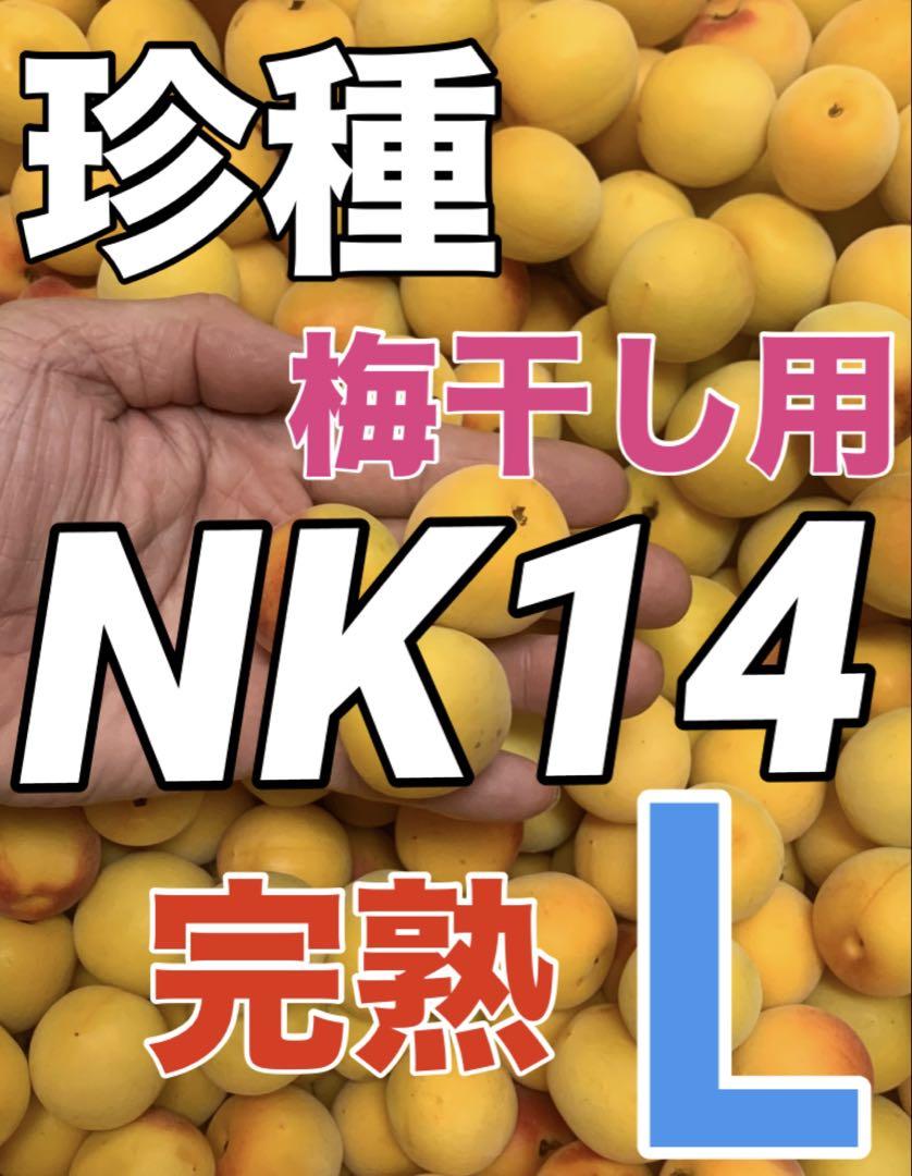 徳島県産 ハウスすだち kantora様専用品 果物