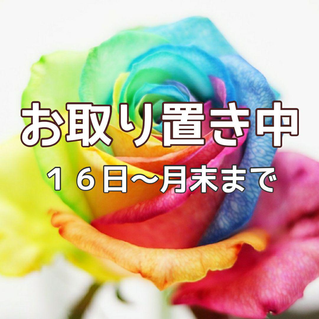 ✴ナミ様✴専用ページ✴12点✴幸運を引き寄せるお守り オルゴナイト