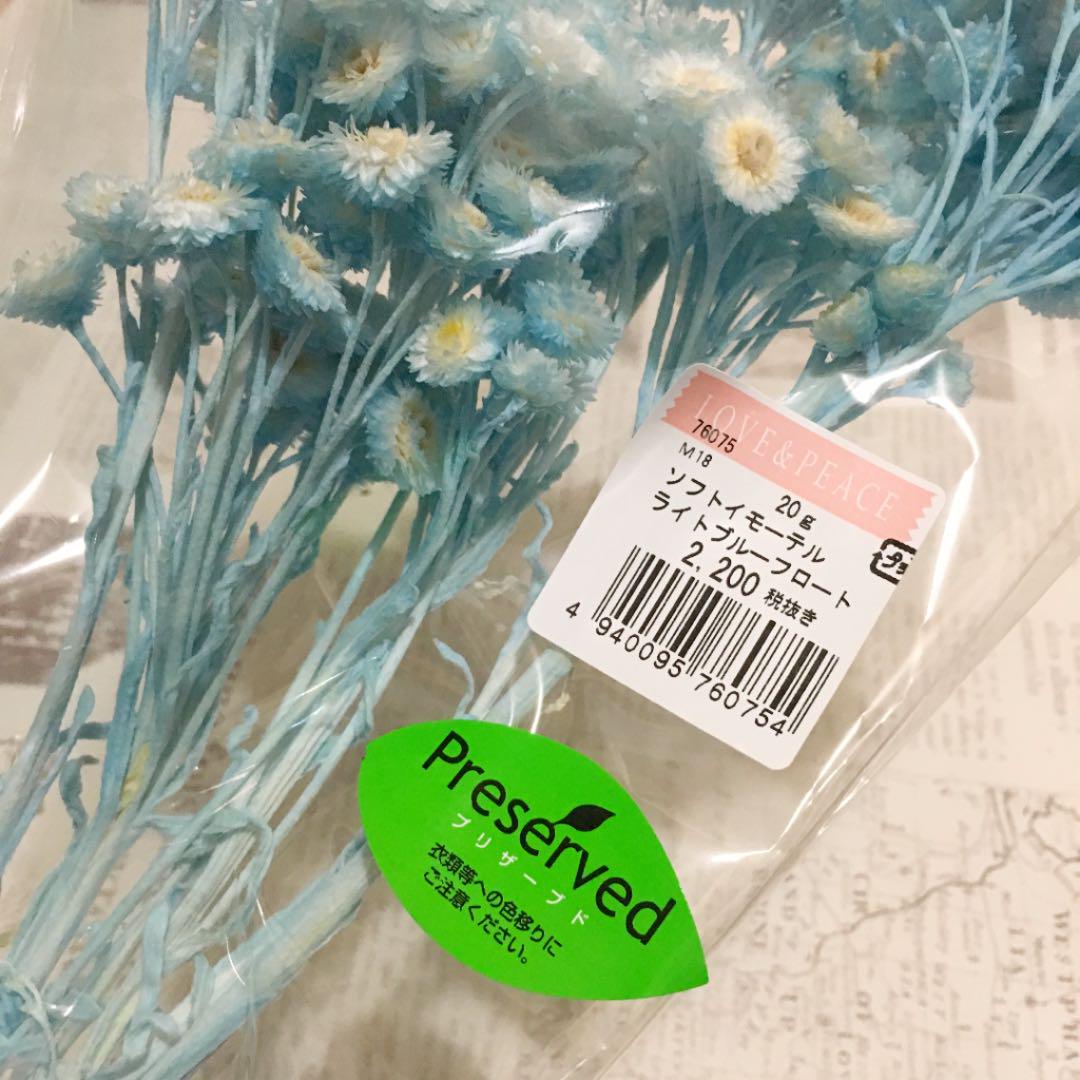 ハーバリウム ソフトイモーテル アソート 5色 約1束分 春色花材♡ 超人気 画像4