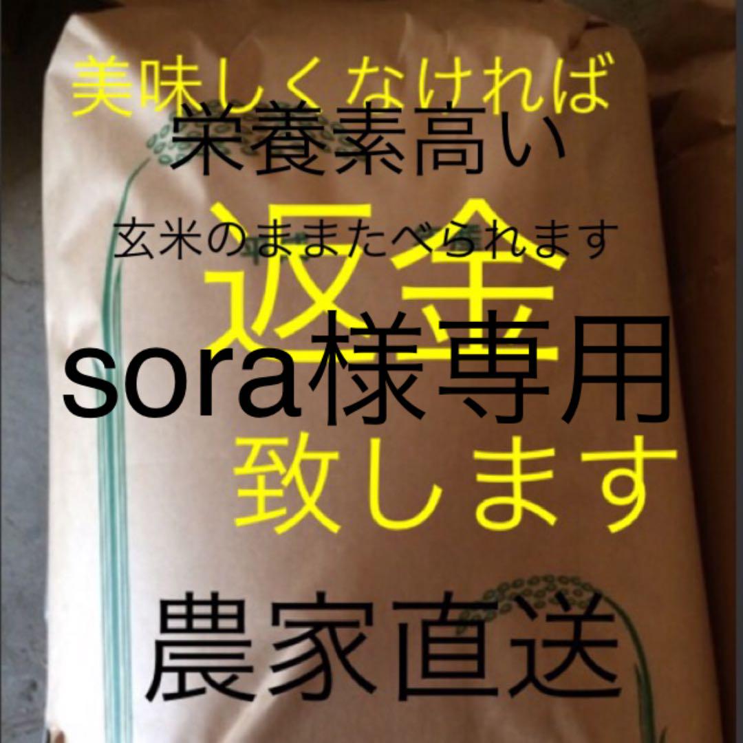 予約分 sora様専用 新米無農薬純こしひかり30㎏ 玄米 愛媛県