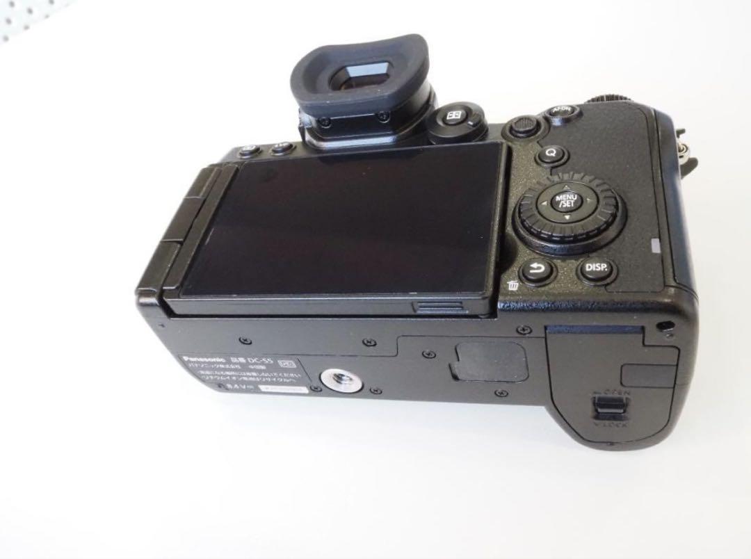 【最後5時間掲載】【極美品】シャッター数908回 LUMIX S5 ボディ