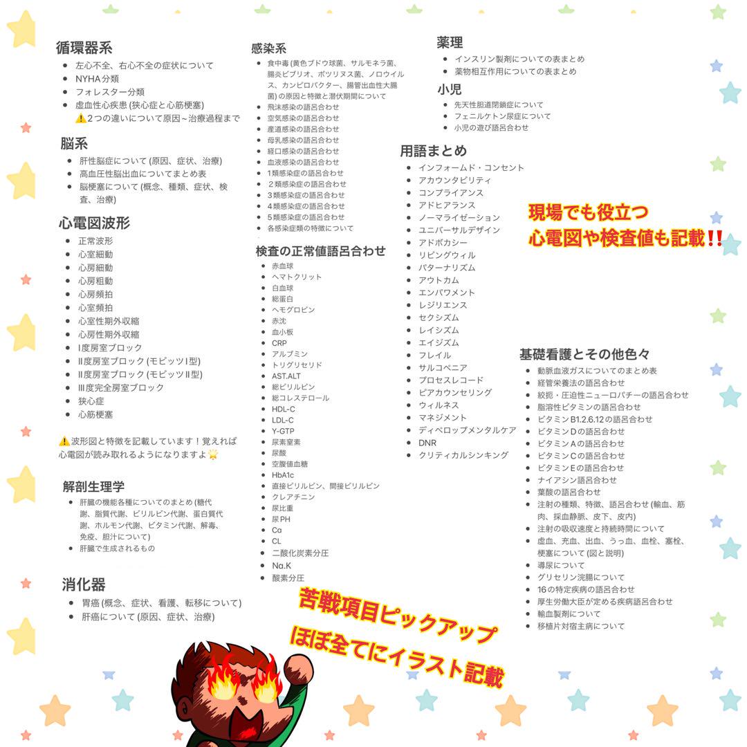 激安‼️ 看護師国家試験まとめノート 国試 解剖生理学 看護学生 付箋ノート