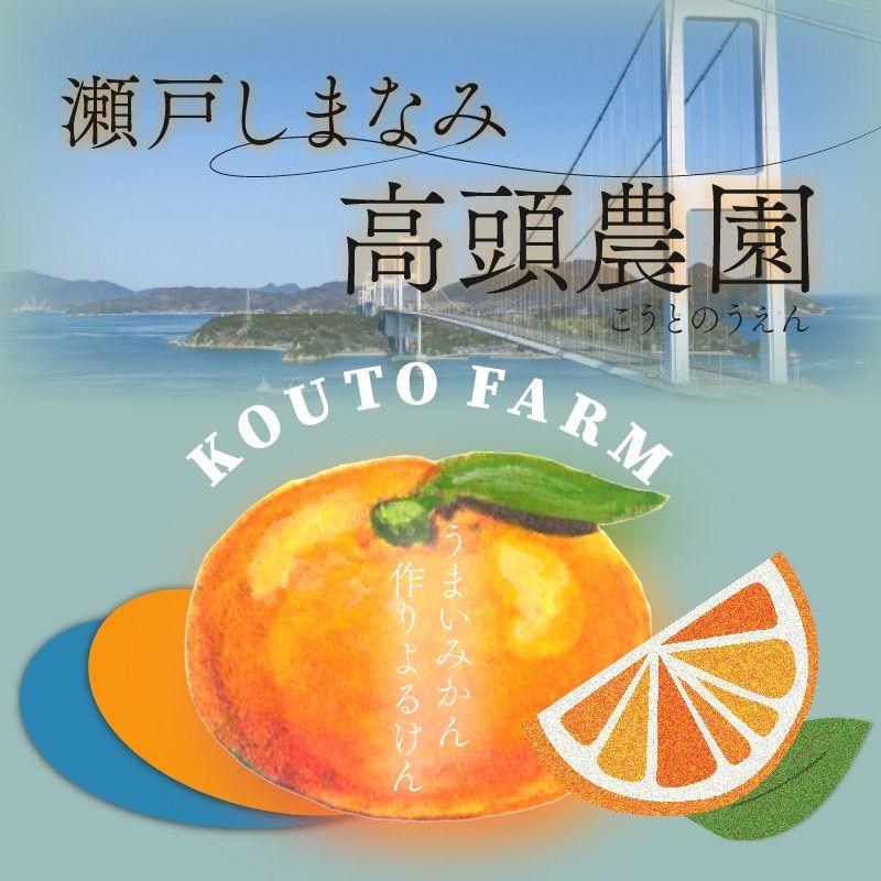 木成りアレンユーレカレモン特別栽培10kg愛媛産