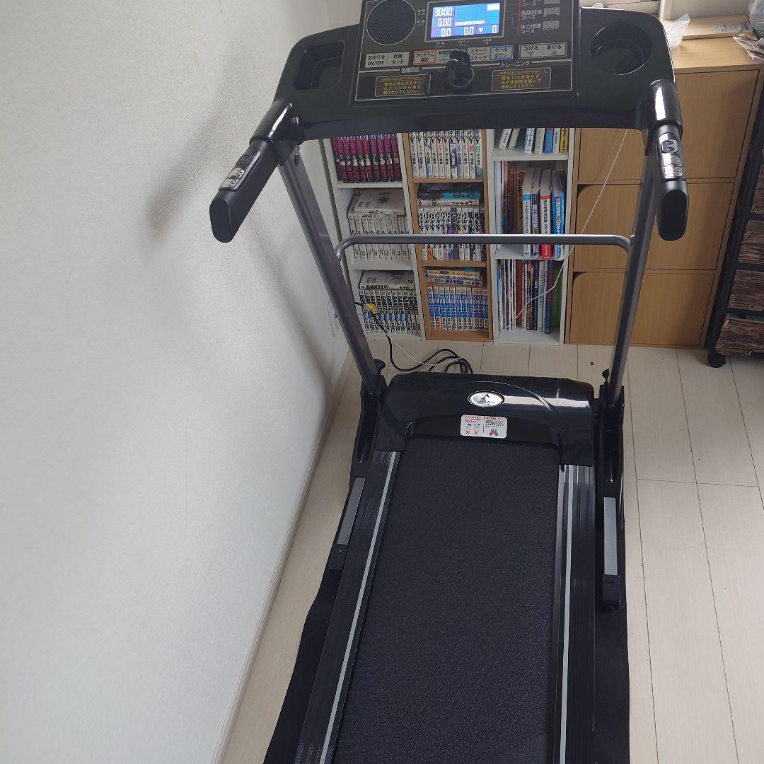 アルインコルームランナー 画像2