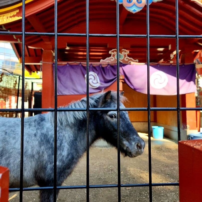 【特級呪物】白馬猫像/一点もの/神田明神/仕事運・金運・勝負運/前へ進む導き 【特級呪物】白馬猫像/一点もの/神田明神/仕事運・金運・勝負運/前へ進む導き